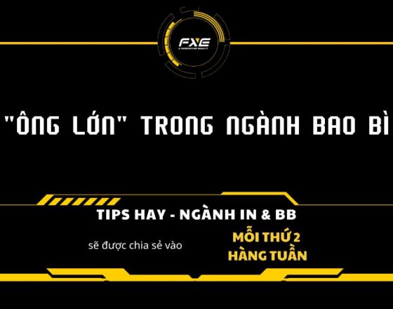 BAO BÌ NÀO ĐANG LÀ 